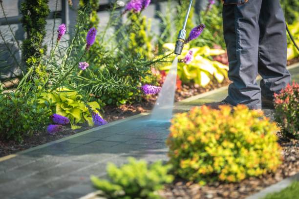 Best Driveway Pressure Washing  in Alamo Heights, TX
